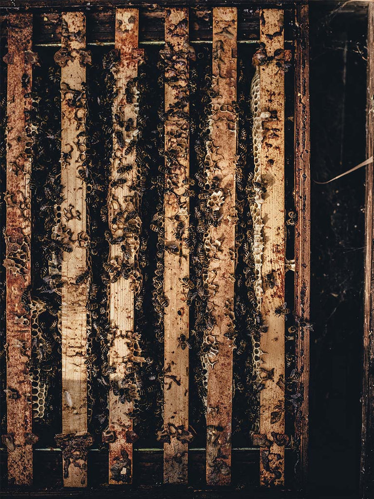 The Honey Atlas: Honey Varieties From Around The Globe