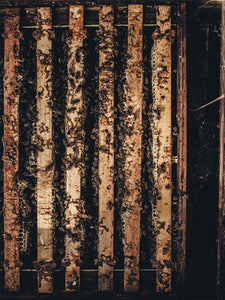 The Honey Atlas: Honey Varieties From Around The Globe